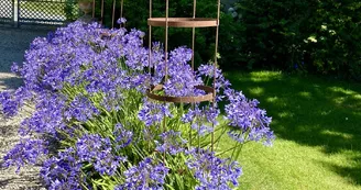Aux Agapanthes - Chambres et table d'hôtes nature - Piscine Aux Agapanthes - Chambres et table d'hôtes nature - Piscine