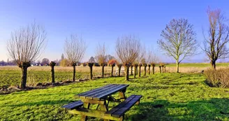 Aire de pique-nique - Rives de Boutonne