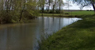 Aire de pique-nique - Sainte-Même Aire de pique-nique - Sainte-Même