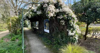 Le Jardin des Plantes Le Jardin des Plantes
