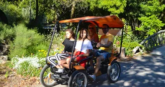 Cycling Tour Cycling Tour