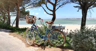 Cycling Tour Cycling Tour