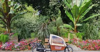 Cycling Tour Cycling Tour
