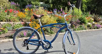 Cycling Tour Cycling Tour