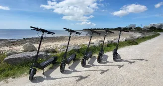 Cycling Tour Cycling Tour
