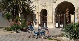 Cycling Tour Cycling Tour