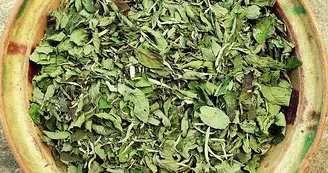 Aux Graines Buissonnières - Culture et cueillette de plantes aromatiques