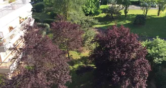 Appartement 6 personnes - Grand Missy - Les Terrasses Appartement 6 personnes - Grand Missy - Les Terrasses