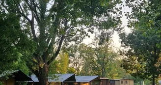 Camping Municipal Saintes Grandes Rives Camping Municipal Saintes Grandes Rives
