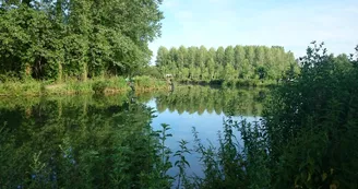 Pêche de loisirs - Saint-Jean-d'Angély Pêche de loisirs - Saint-Jean-d'Angély
