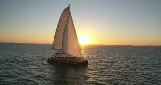 Sortie en catamaran Harmony - Croisières Inter-îles