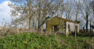Hors les murs, à la Cabane de la Craie “Le marais de Brouage à l’abri !” Hors les murs, à la Cabane de la Craie “Le marais de Brouage à l’abri !”