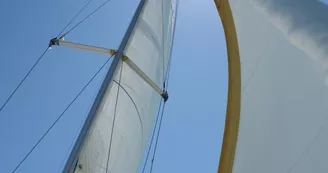 Sortie demi-journée - La Voile pour Tous Sortie demi-journée - La Voile pour Tous
