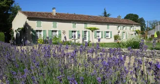 Gîte Les vieilles pierres