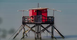 Exposition d'art : Regards sur la Charente-Maritime Exposition d'art : Regards sur la Charente-Maritime