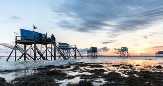 Exposition d'art : Regards sur la Charente-Maritime Exposition d'art : Regards sur la Charente-Maritime