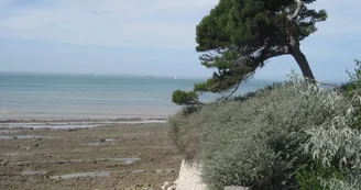 Maison 4 personnes - Maison La Rochelaise