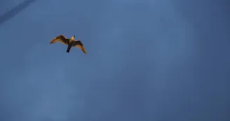 Sortie soirée - La Voile Pour Tous Sortie soirée - La Voile Pour Tous