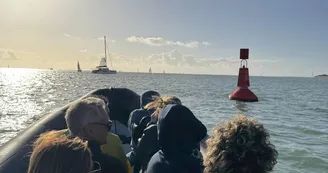 Balade en mer (1h) - TEX' La Rochelle Balade en mer (1h) - TEX' La Rochelle