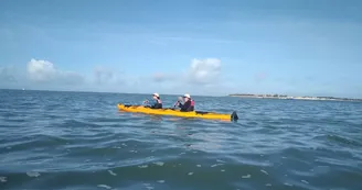 Randonnée en kayak vers l'ile de Ré au coeur du parc Marin -Antioche Kayak Randonnée en kayak vers l'ile de Ré au coeur du parc Marin -Antioche Kayak
