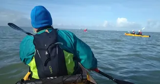 Randonnée en kayak vers l'ile de Ré au coeur du parc Marin -Antioche Kayak Randonnée en kayak vers l'ile de Ré au coeur du parc Marin -Antioche Kayak