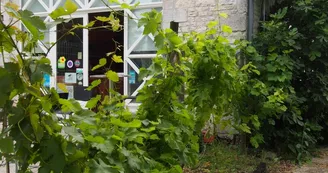De Vitis, famille Quéron - Vignoble De Vitis, famille Quéron - Vignoble
