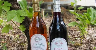 De Vitis, famille Quéron - Vignoble De Vitis, famille Quéron - Vignoble