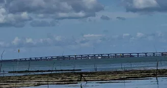 Promenade en mer Timkil