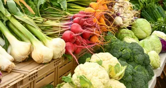 Marché 100% bio