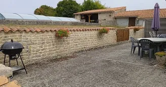 Chat - Rentais Chat - Rentais