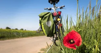 VDS mobilité - Réparateur VDS mobilité - Réparateur