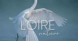 Exposition du Photographe Louis-Marie Préau