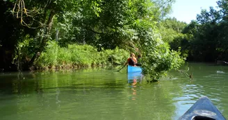 Kayak Club Angérien Kayak Club Angérien