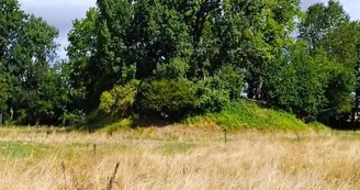 La Motte Castrale La Motte Castrale
