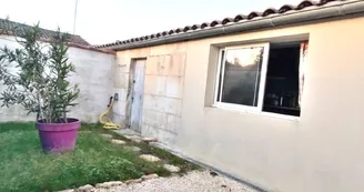 ZelAnt ZelAnt