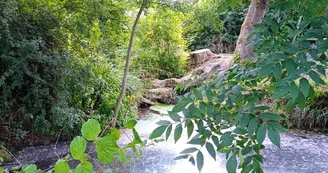Le pont de Pierre de Marnay