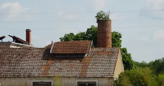 La laiterie coopérative et la porcherie de Bords