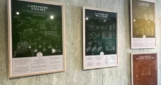 Exposition - Cognac : l'expo scientifique