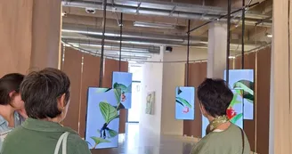JEP | Expositions Le Singe et l'Argile | Planctonarium JEP | Expositions Le Singe et l'Argile | Planctonarium