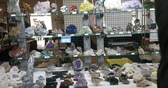 Vente exposition MINERAUX ET FOSSILES